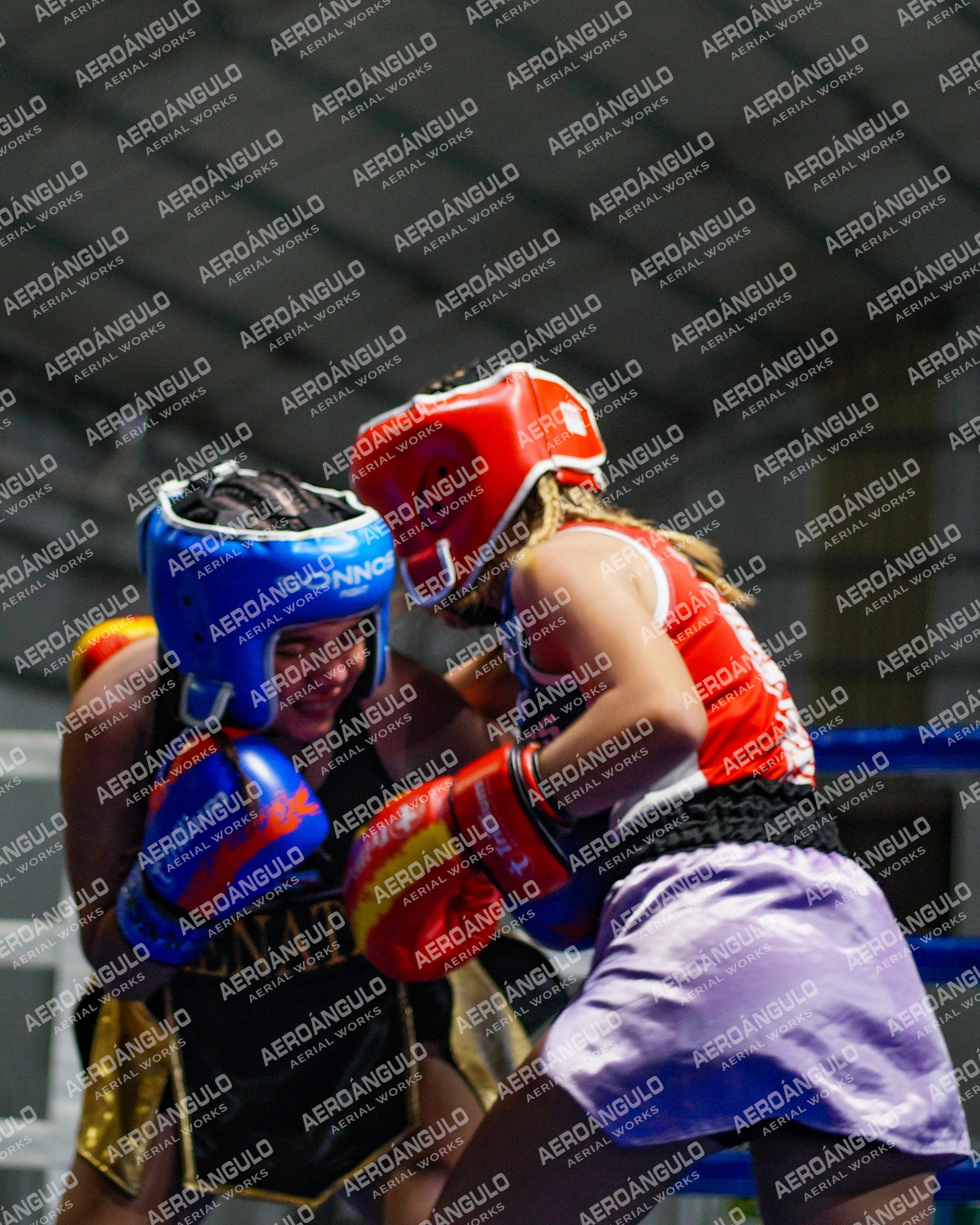 KNOCKOUT N°104