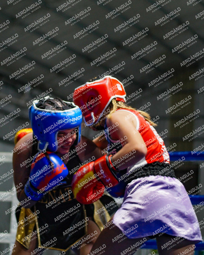 KNOCKOUT N°104