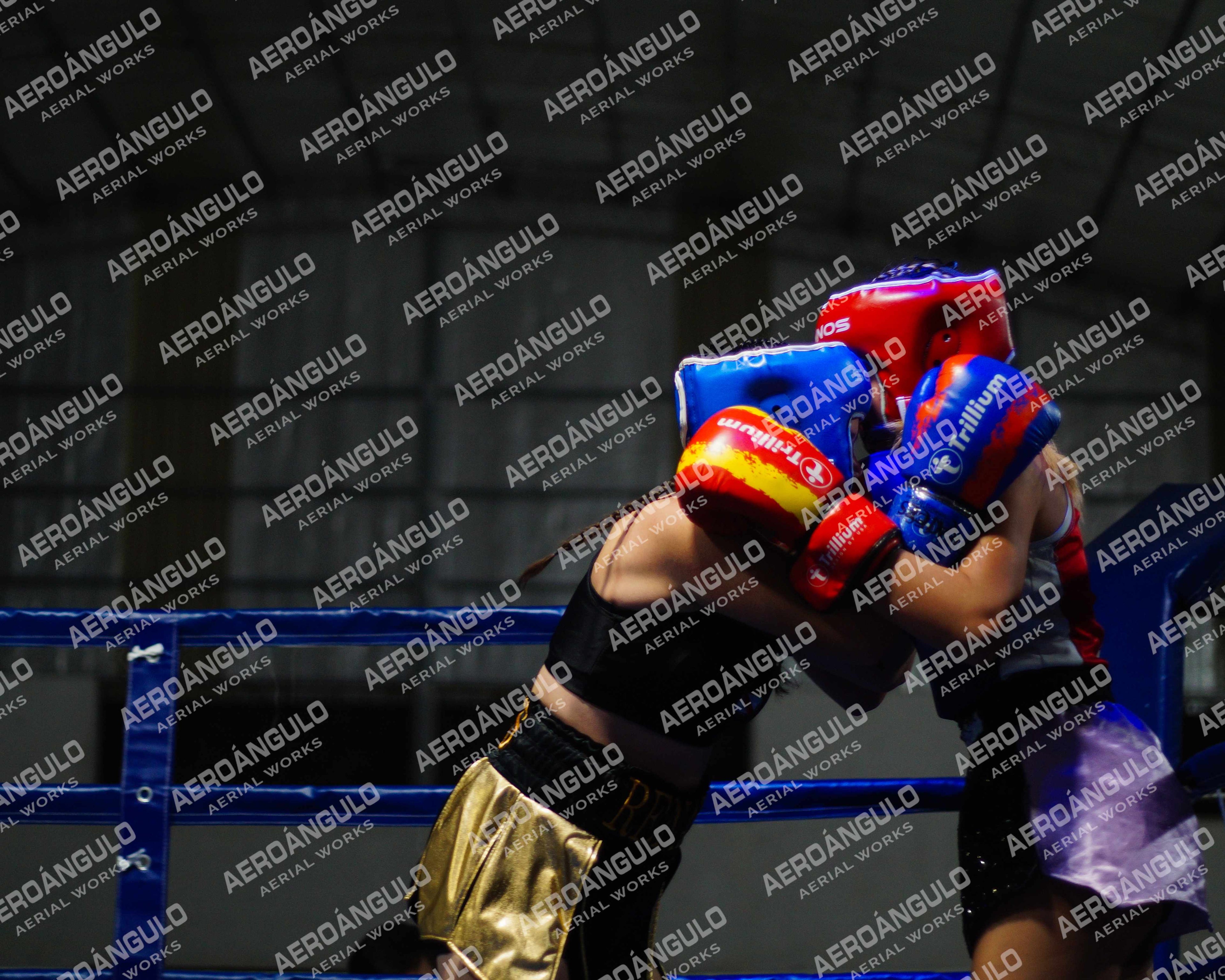 KNOCKOUT N°105