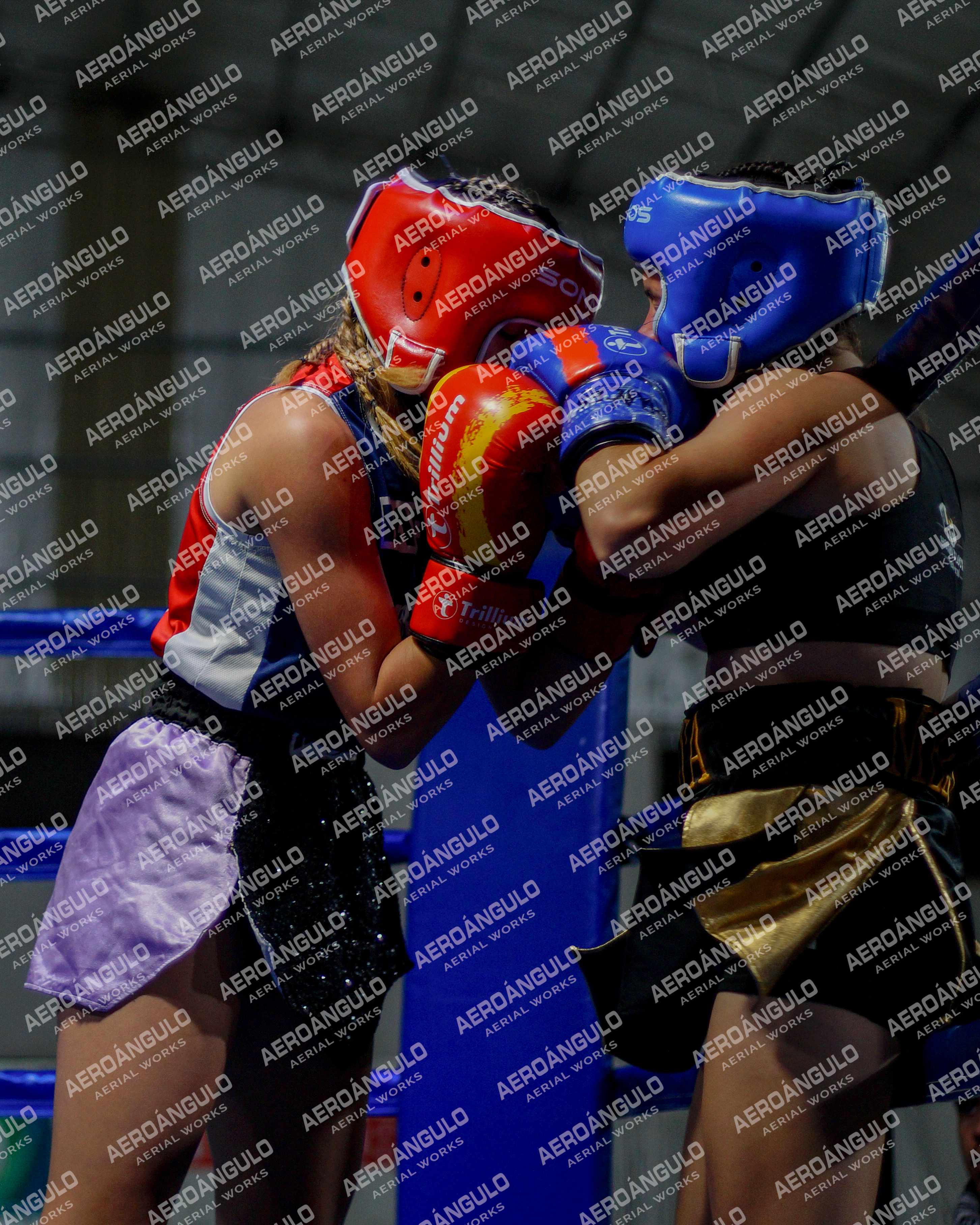 KNOCKOUT N°107