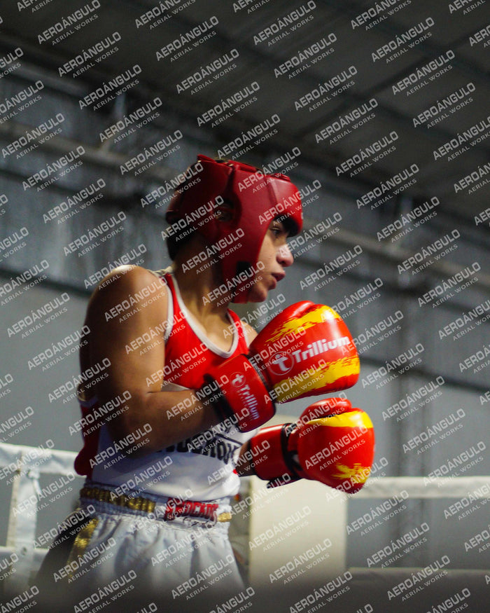 KNOCKOUT N°114