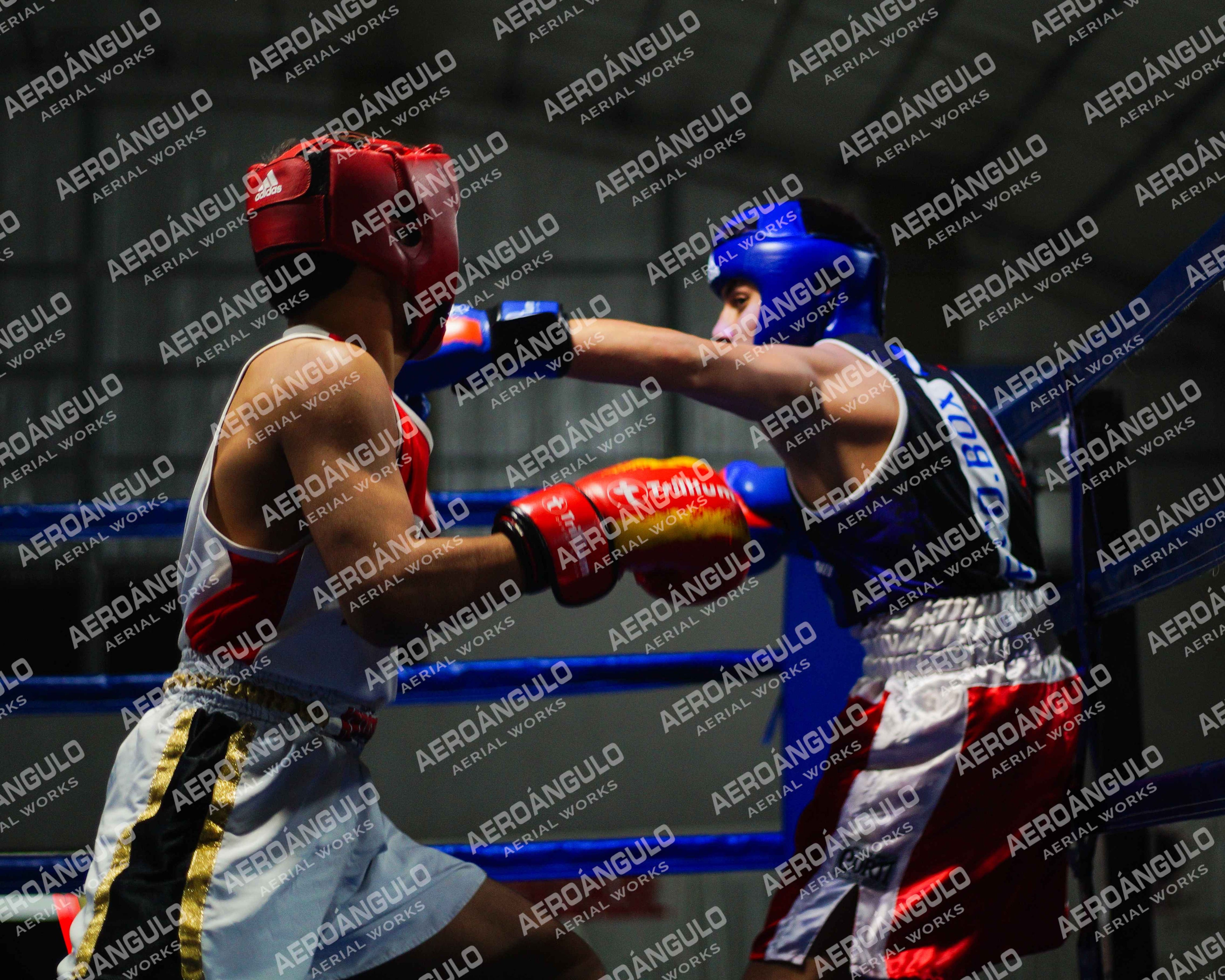 KNOCKOUT N°115