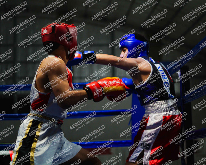 KNOCKOUT N°115