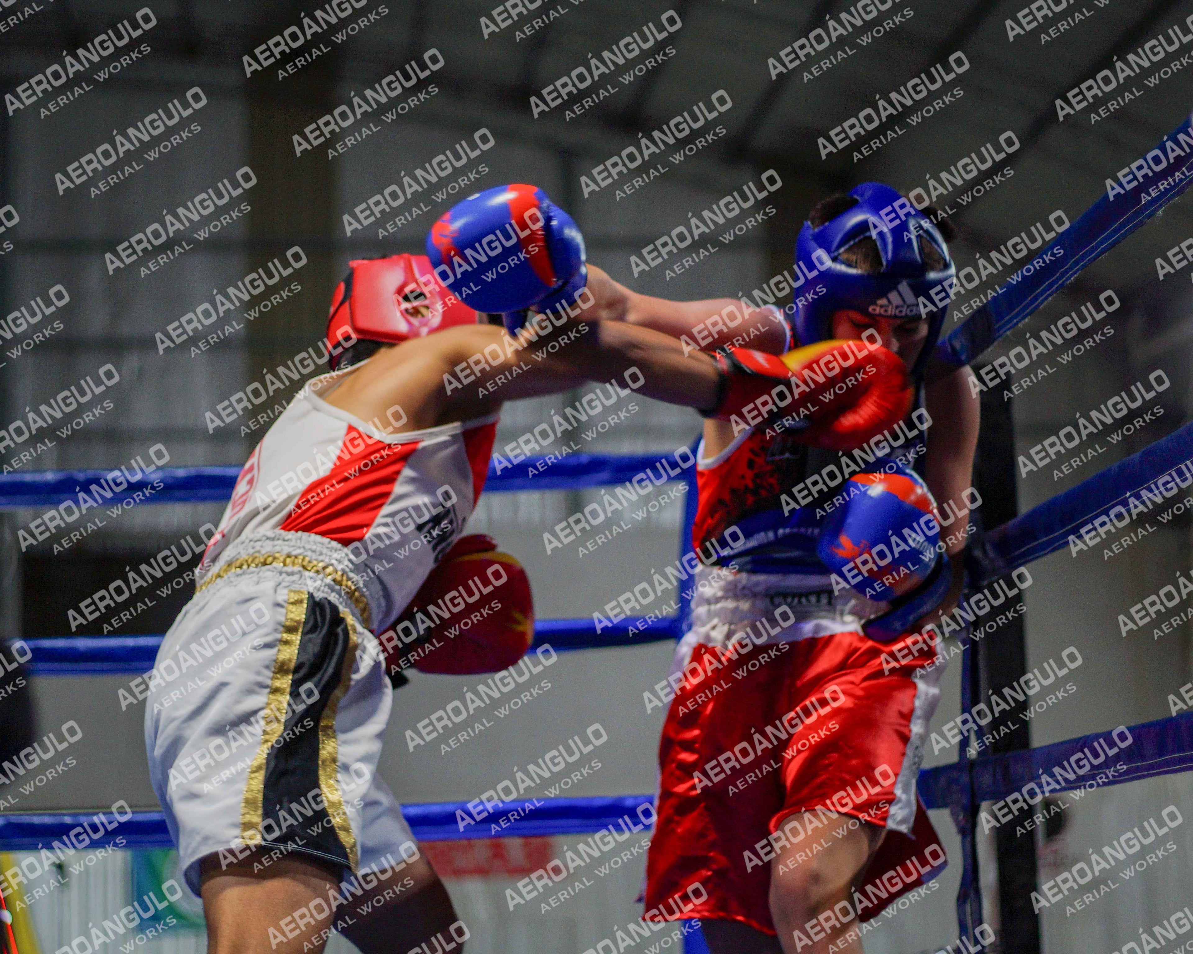 KNOCKOUT N°116