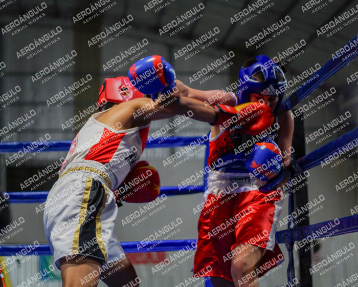 KNOCKOUT N°116