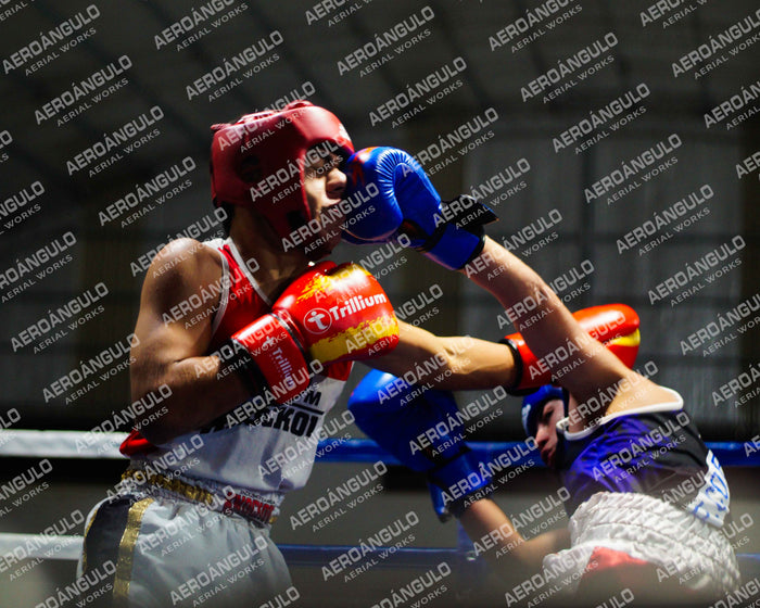 KNOCKOUT N°118