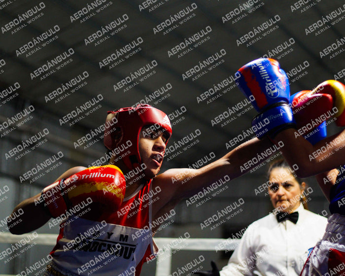 KNOCKOUT N°119