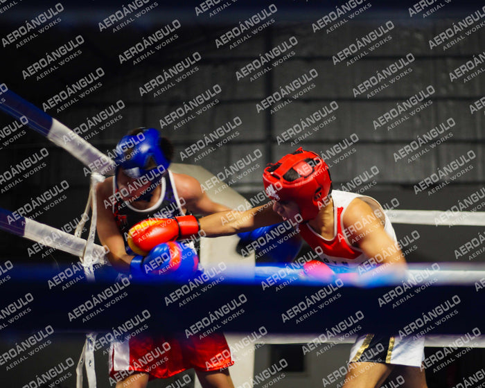 KNOCKOUT N°121