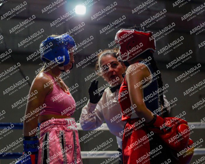 KNOCKOUT N°127