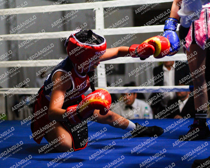 KNOCKOUT N°129