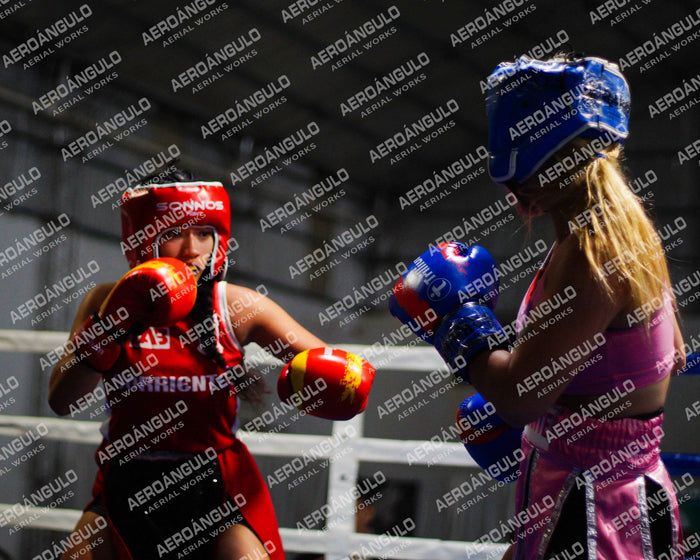 KNOCKOUT N°130