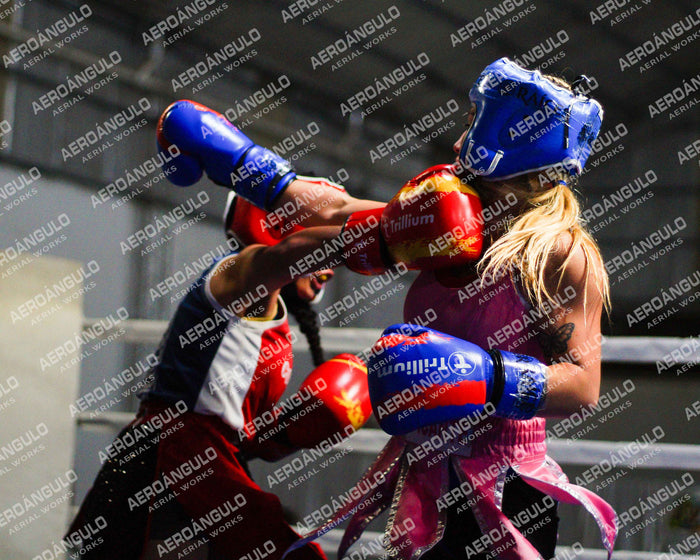 KNOCKOUT N°131