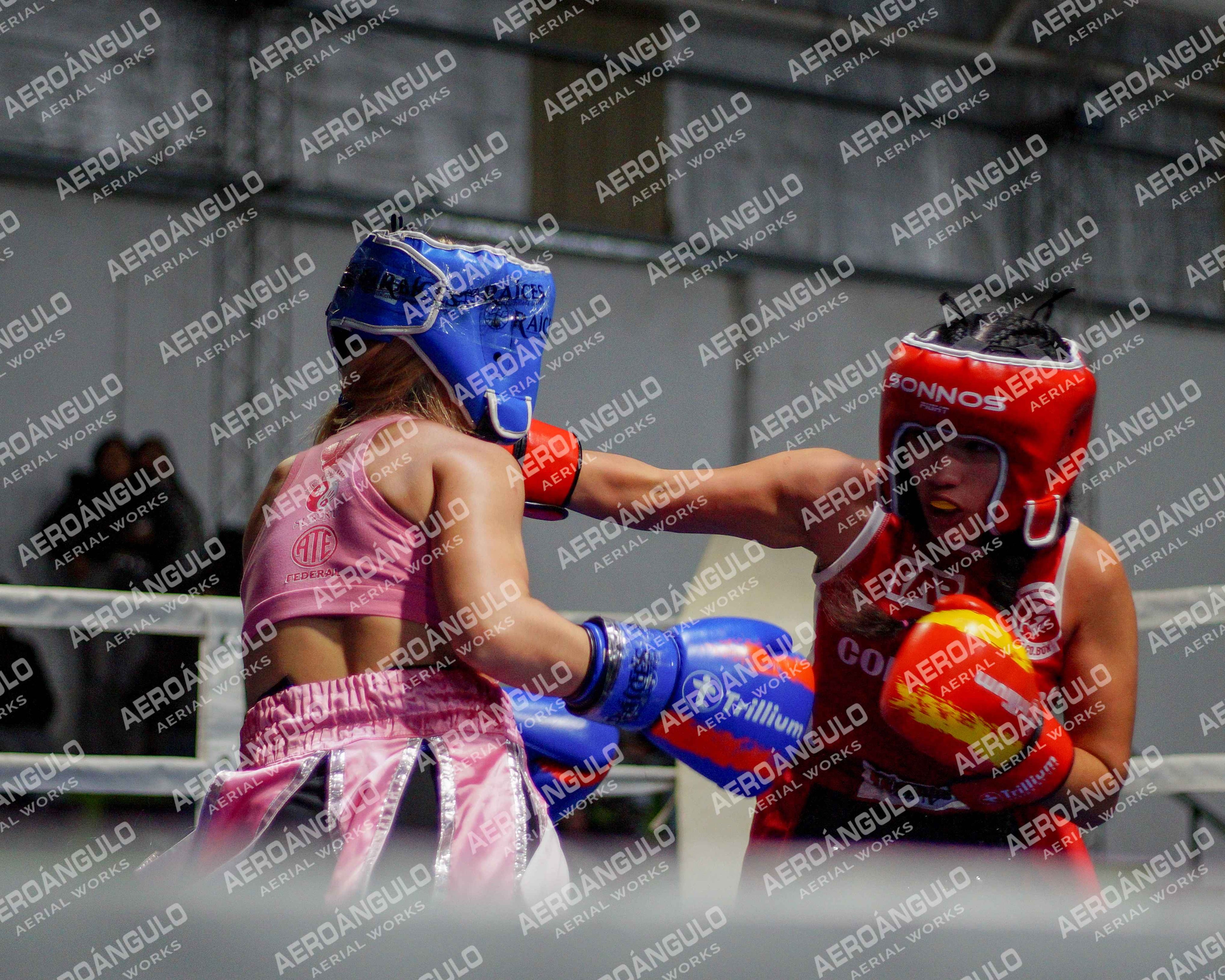 KNOCKOUT N°133