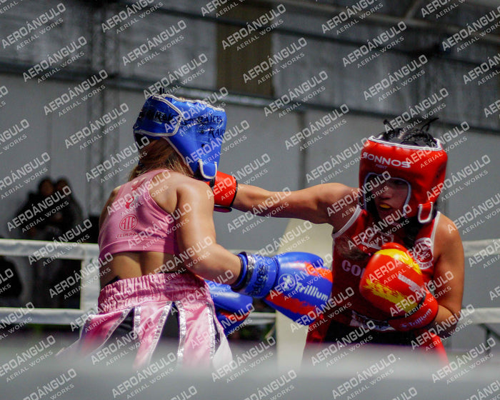 KNOCKOUT N°133