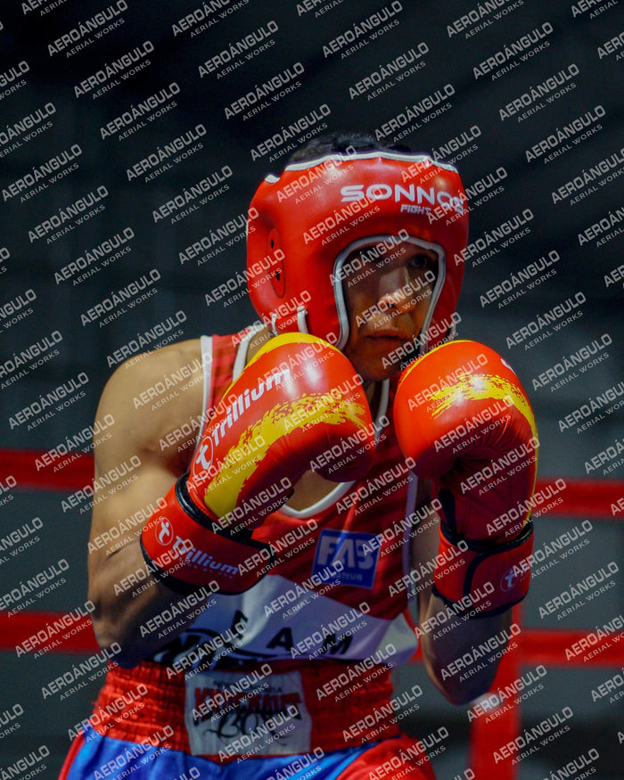 KNOCKOUT N°137