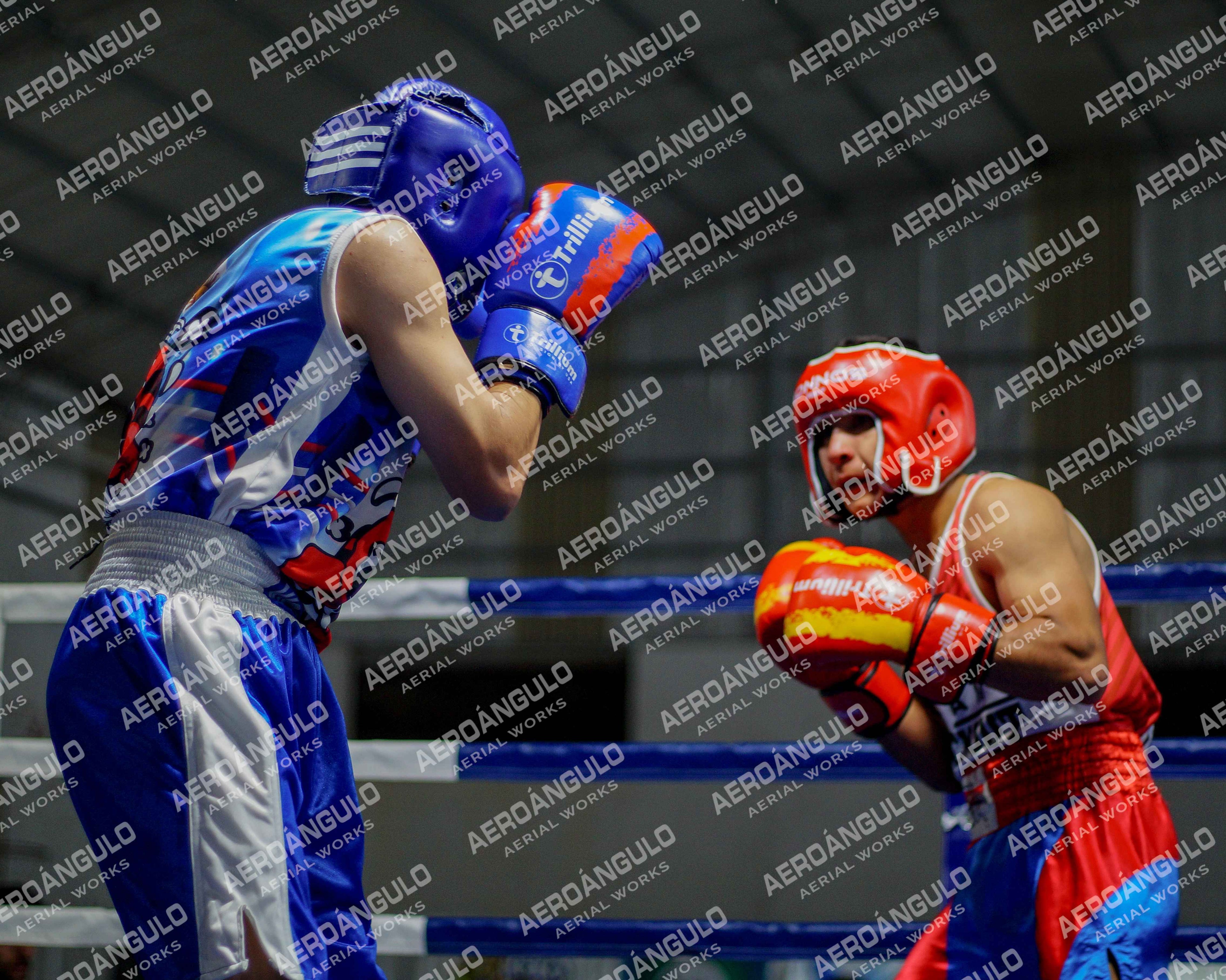 KNOCKOUT N°139