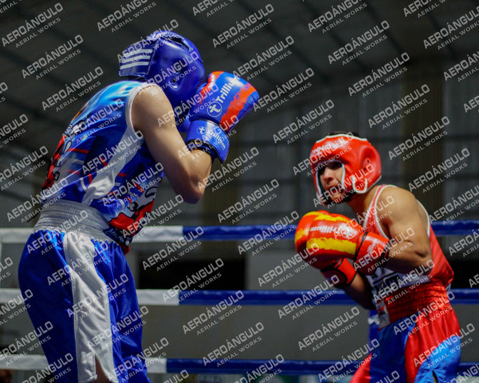 KNOCKOUT N°139