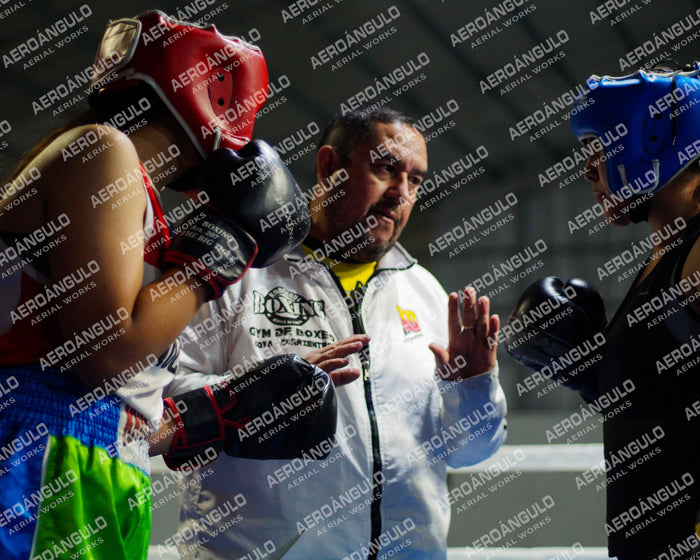 KNOCKOUT N°14