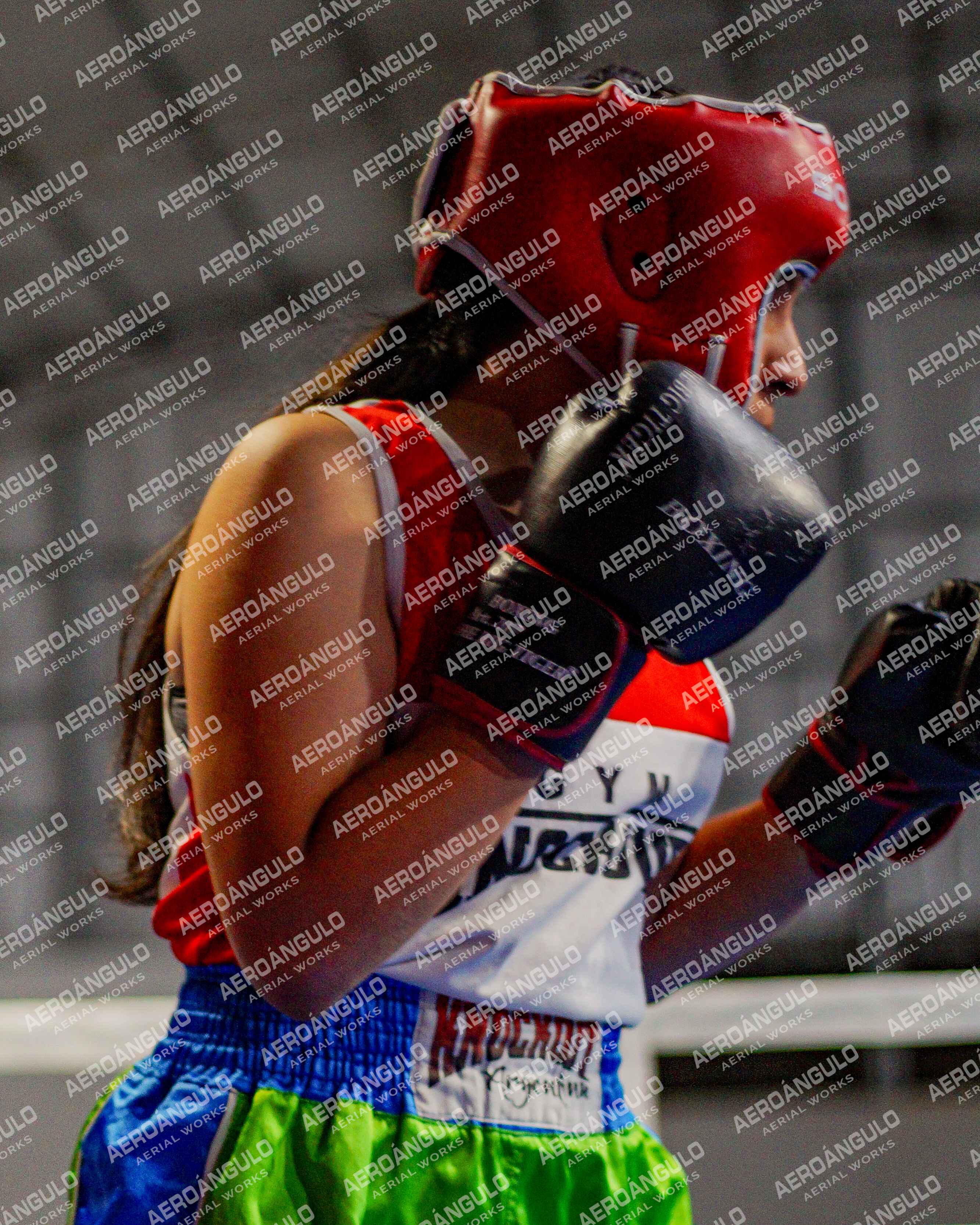 KNOCKOUT N°15