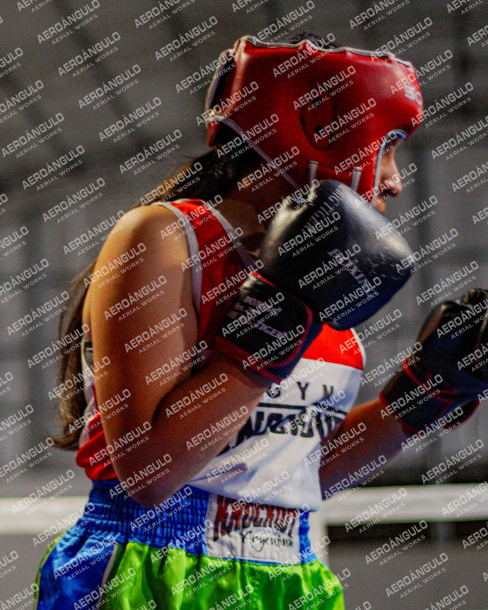 KNOCKOUT N°15