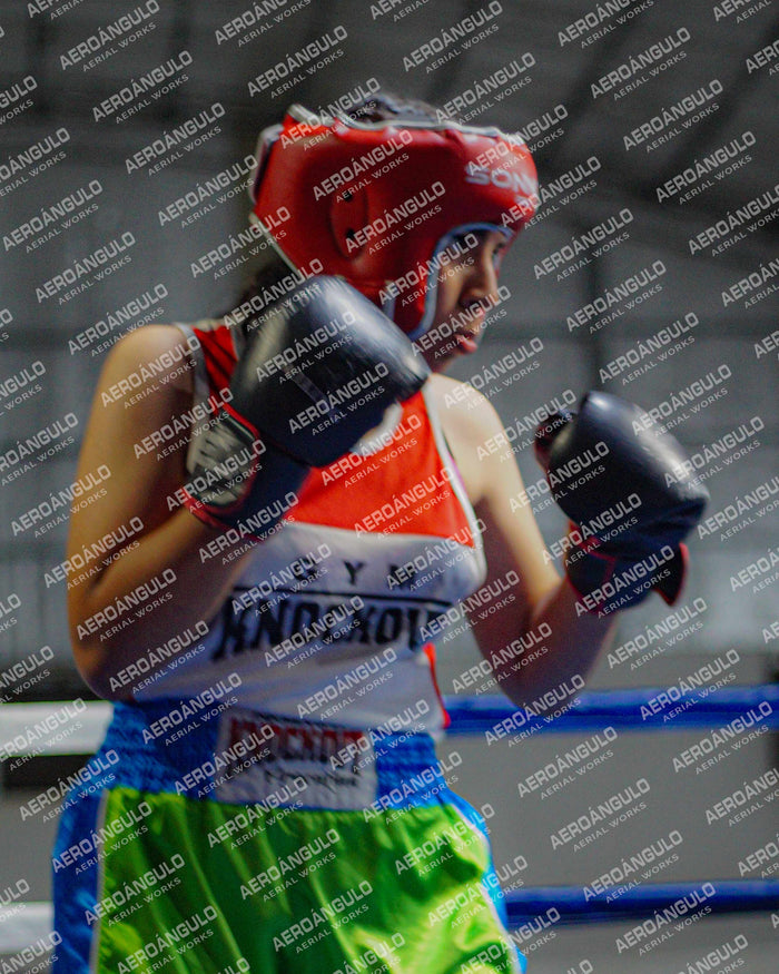 KNOCKOUT N°16