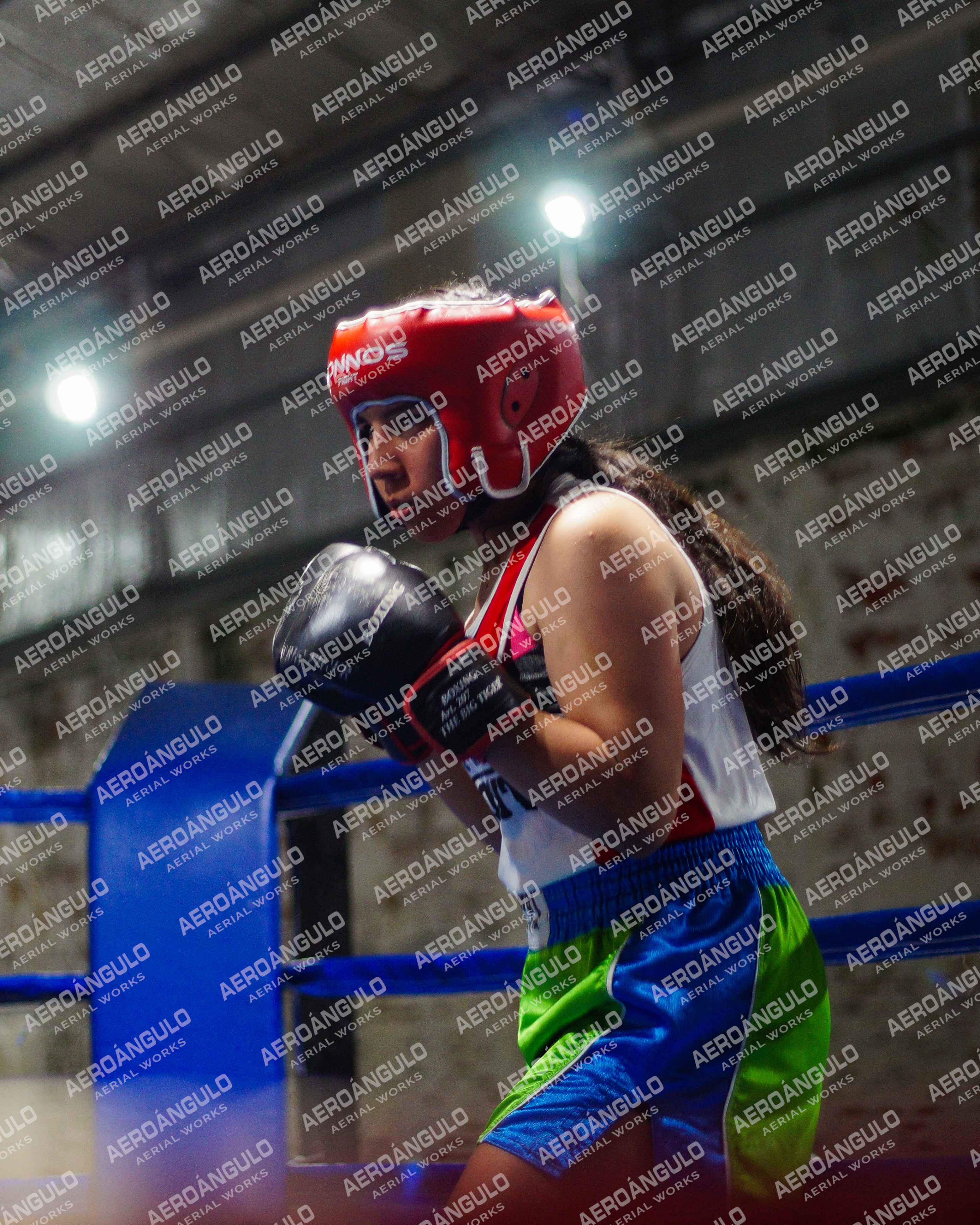 KNOCKOUT N°17