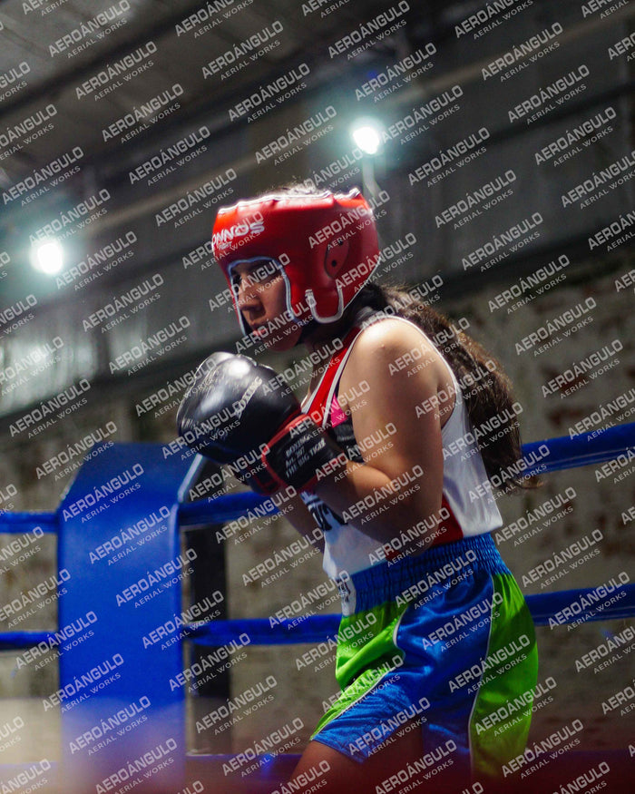 KNOCKOUT N°17
