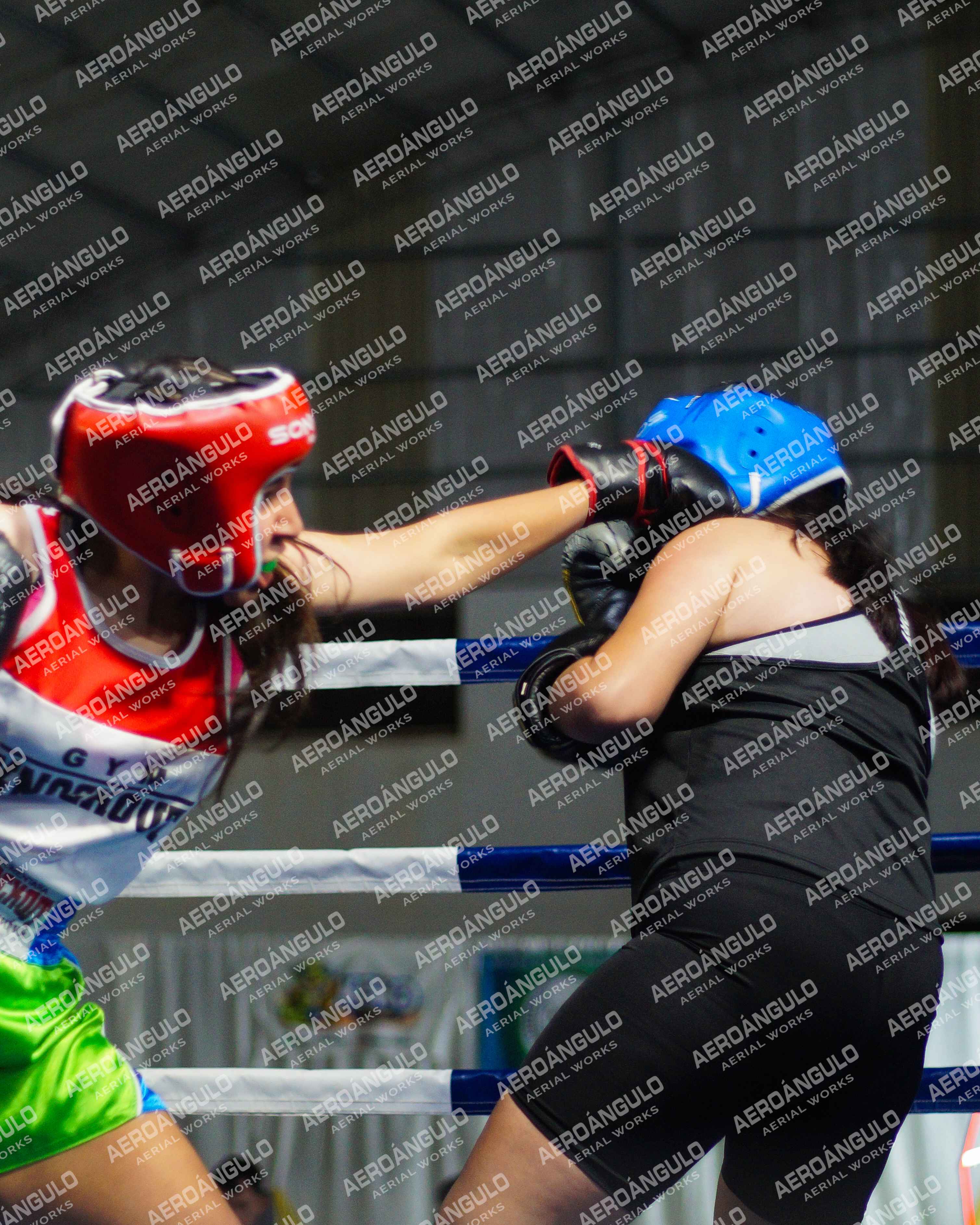 KNOCKOUT N°18