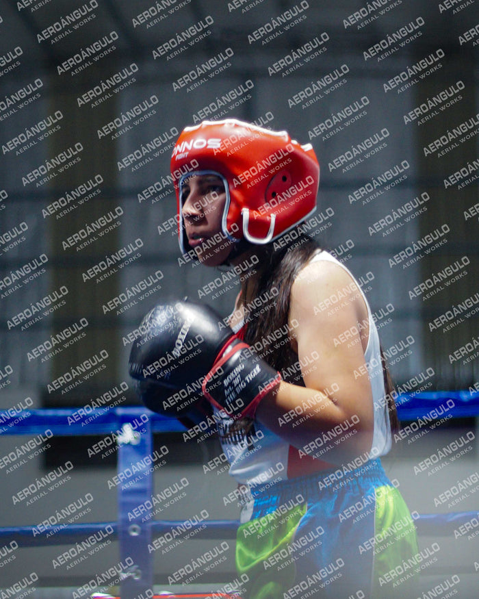 KNOCKOUT N°20