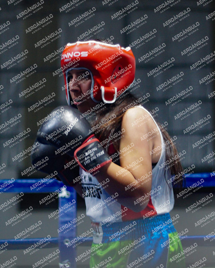 KNOCKOUT N°21