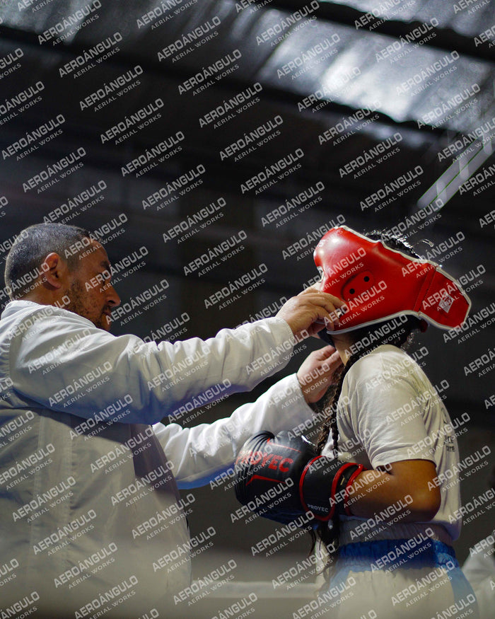 KNOCKOUT N°25
