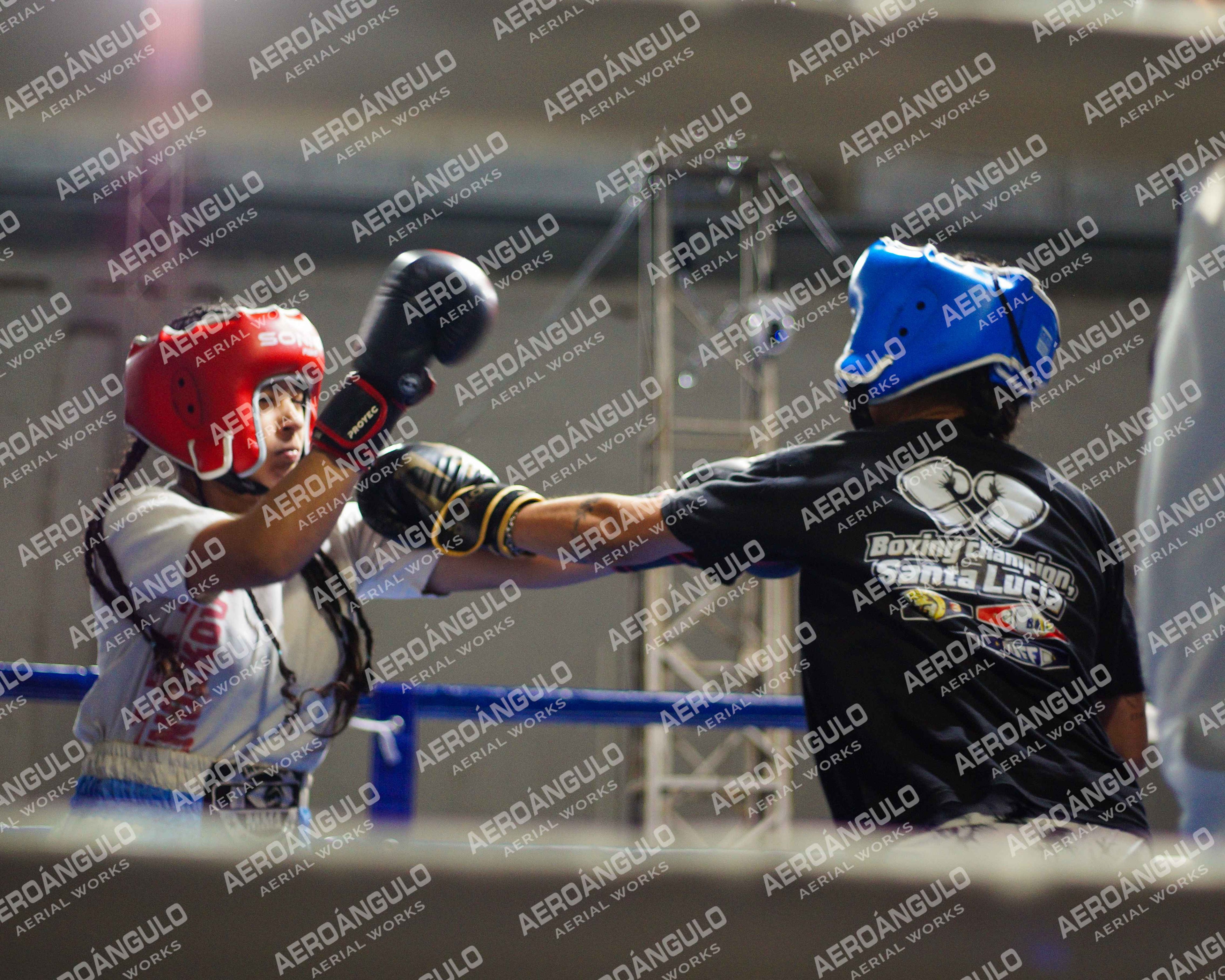 KNOCKOUT N°27