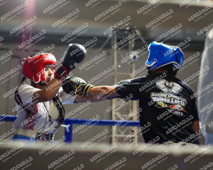 KNOCKOUT N°27