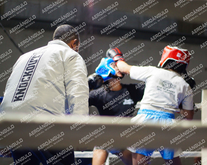 KNOCKOUT N°28