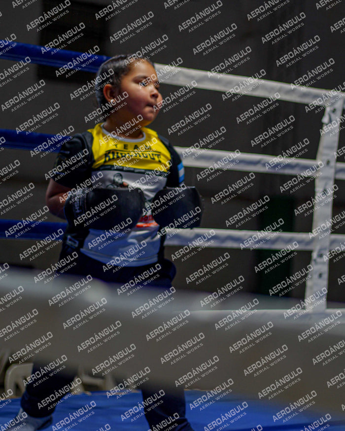KNOCKOUT N°3