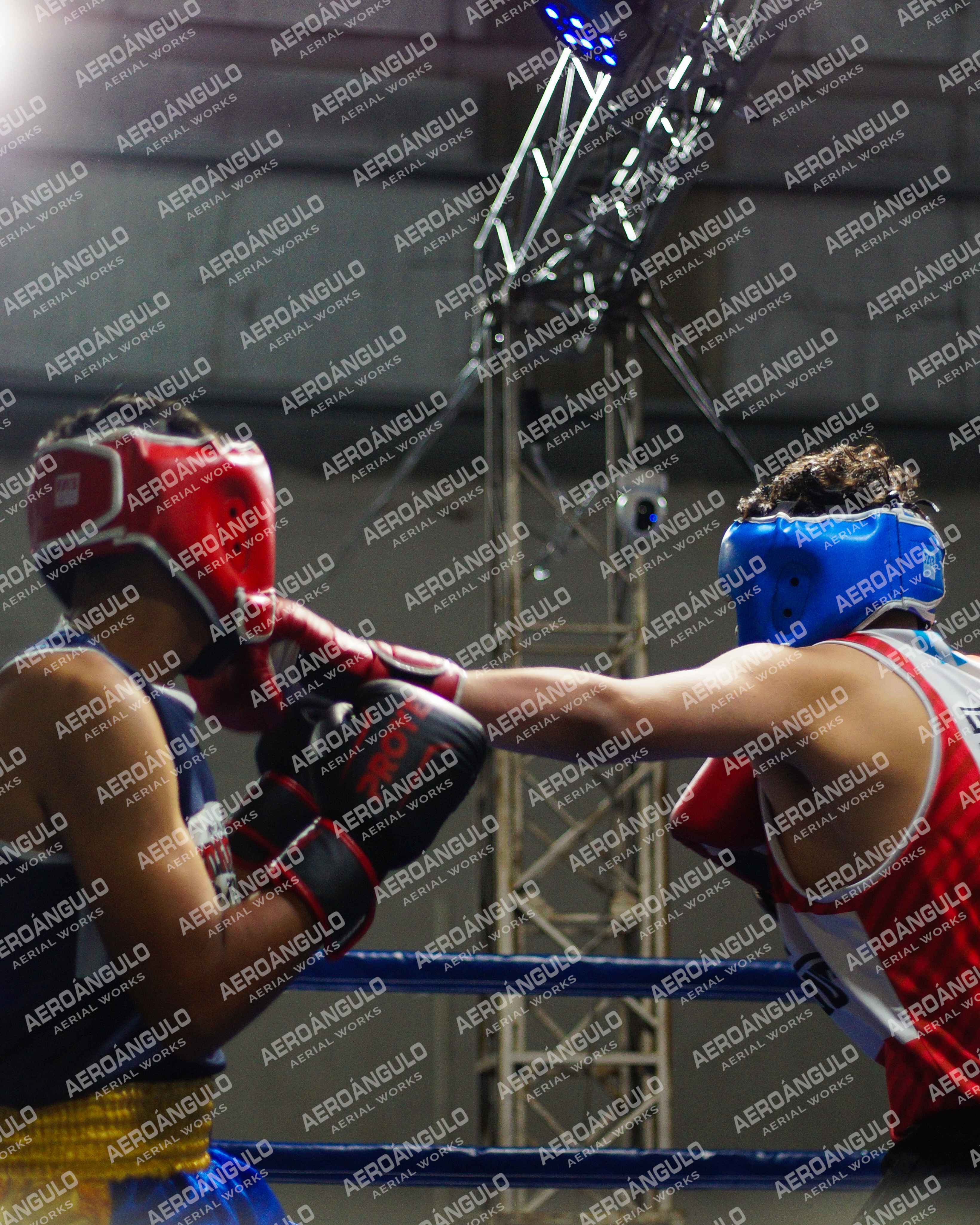 KNOCKOUT N°36