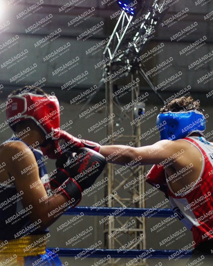 KNOCKOUT N°36