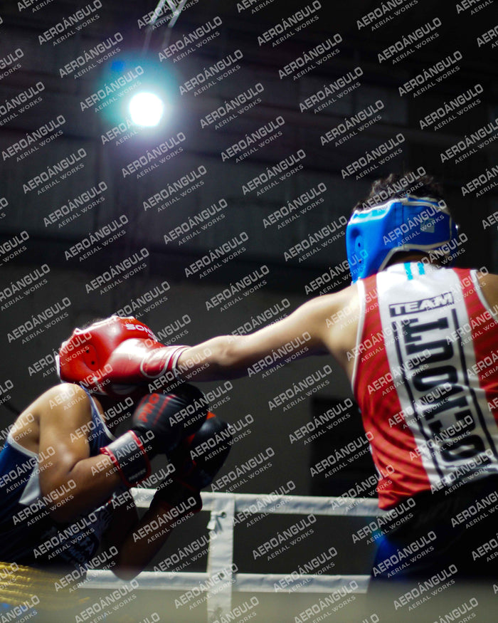 KNOCKOUT N°37