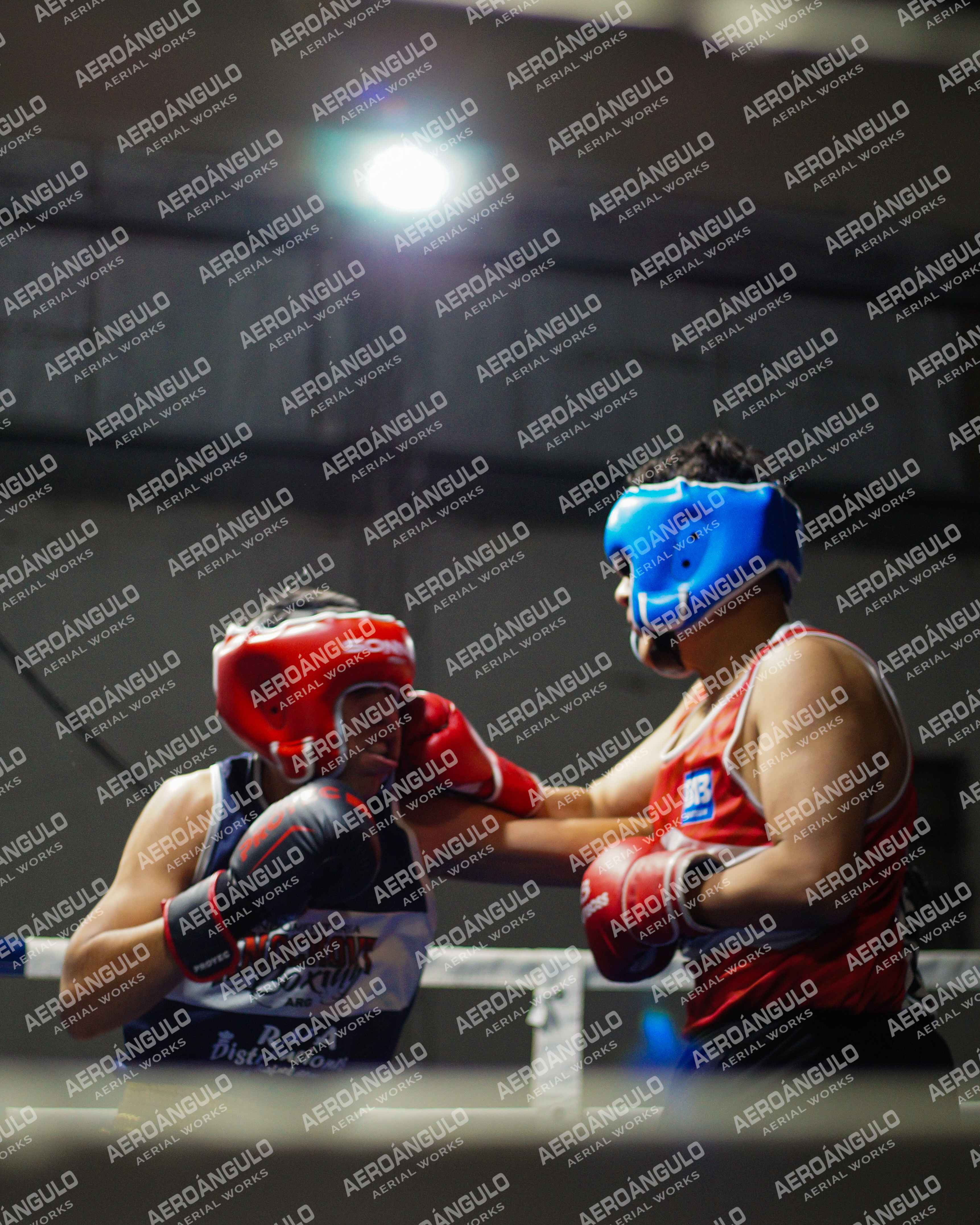 KNOCKOUT N°38