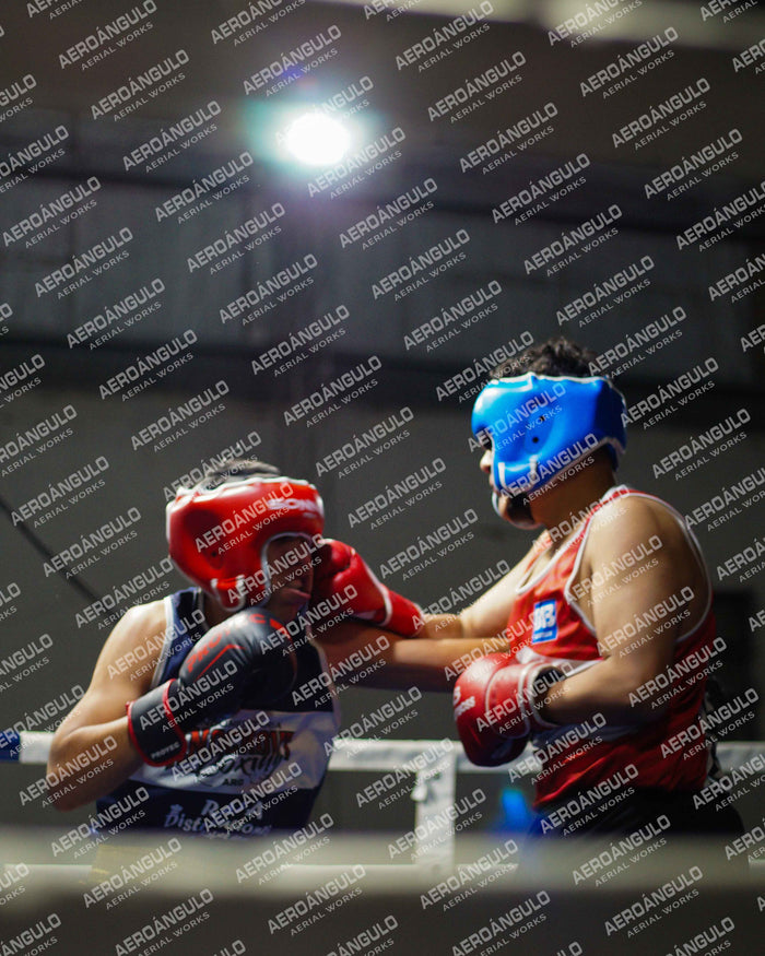 KNOCKOUT N°38