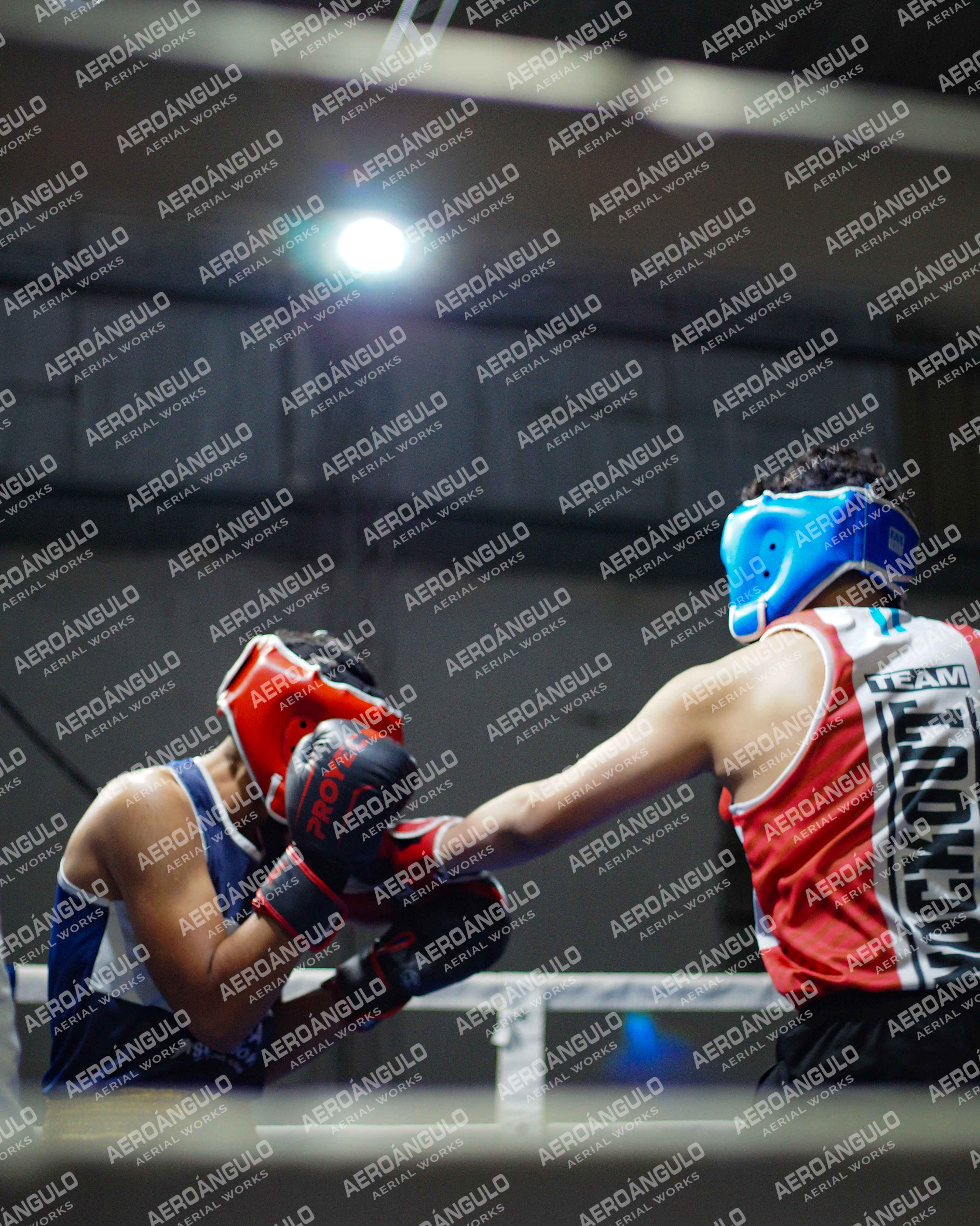 KNOCKOUT N°39
