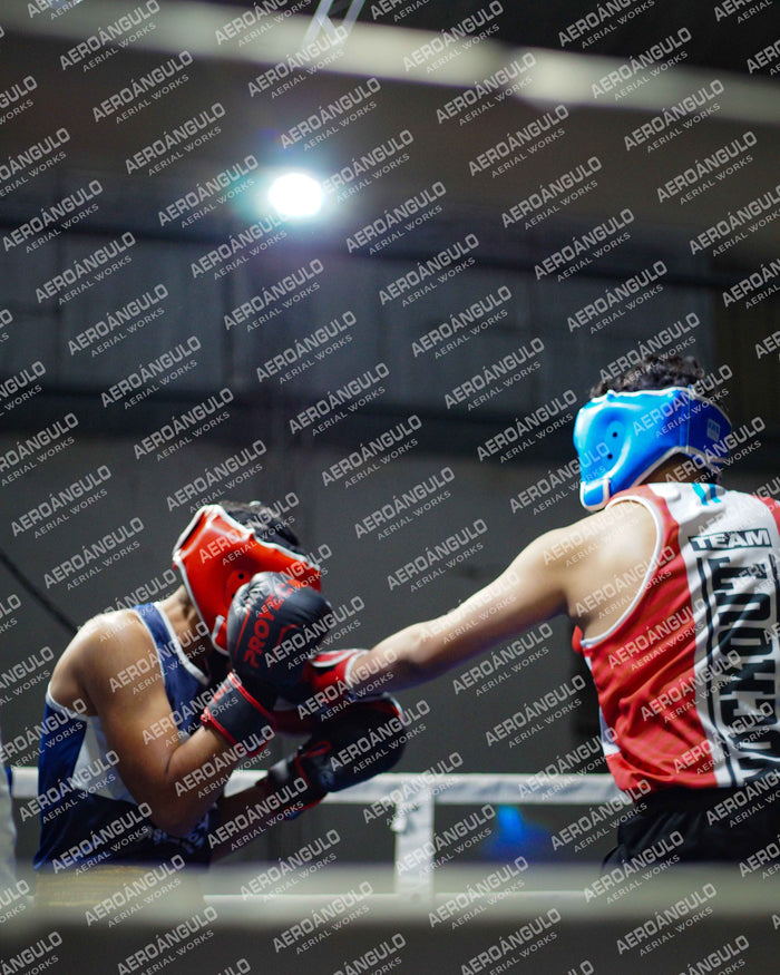 KNOCKOUT N°39