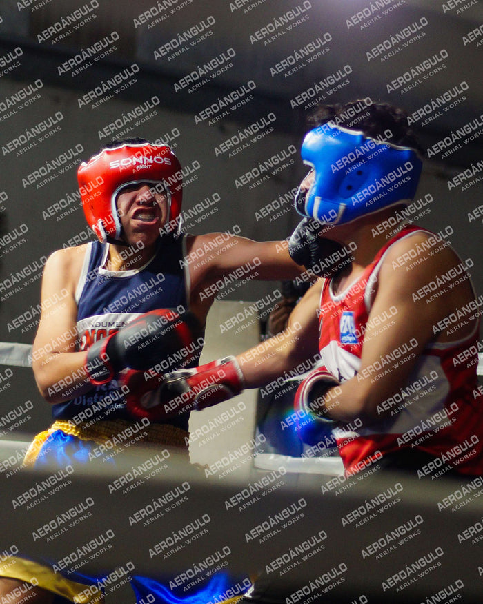 KNOCKOUT N°40