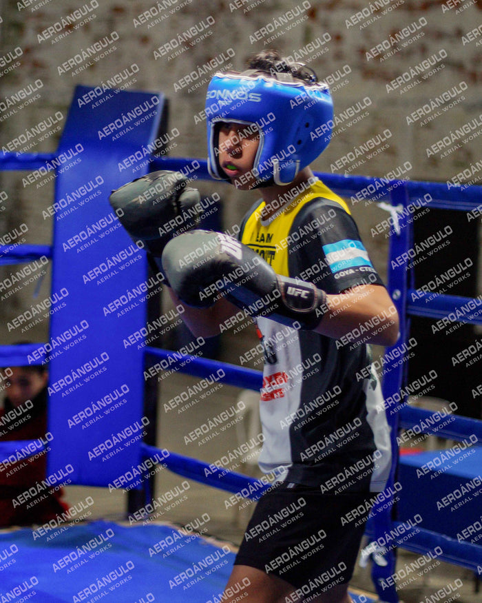 KNOCKOUT N°43