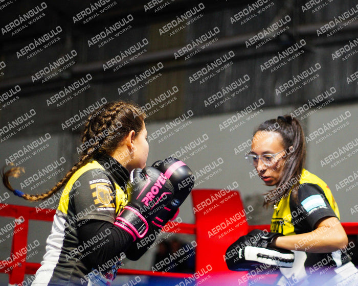 KNOCKOUT N°46