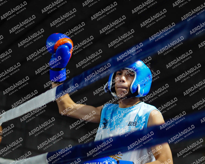 KNOCKOUT N°58