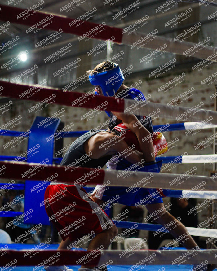 KNOCKOUT N°59