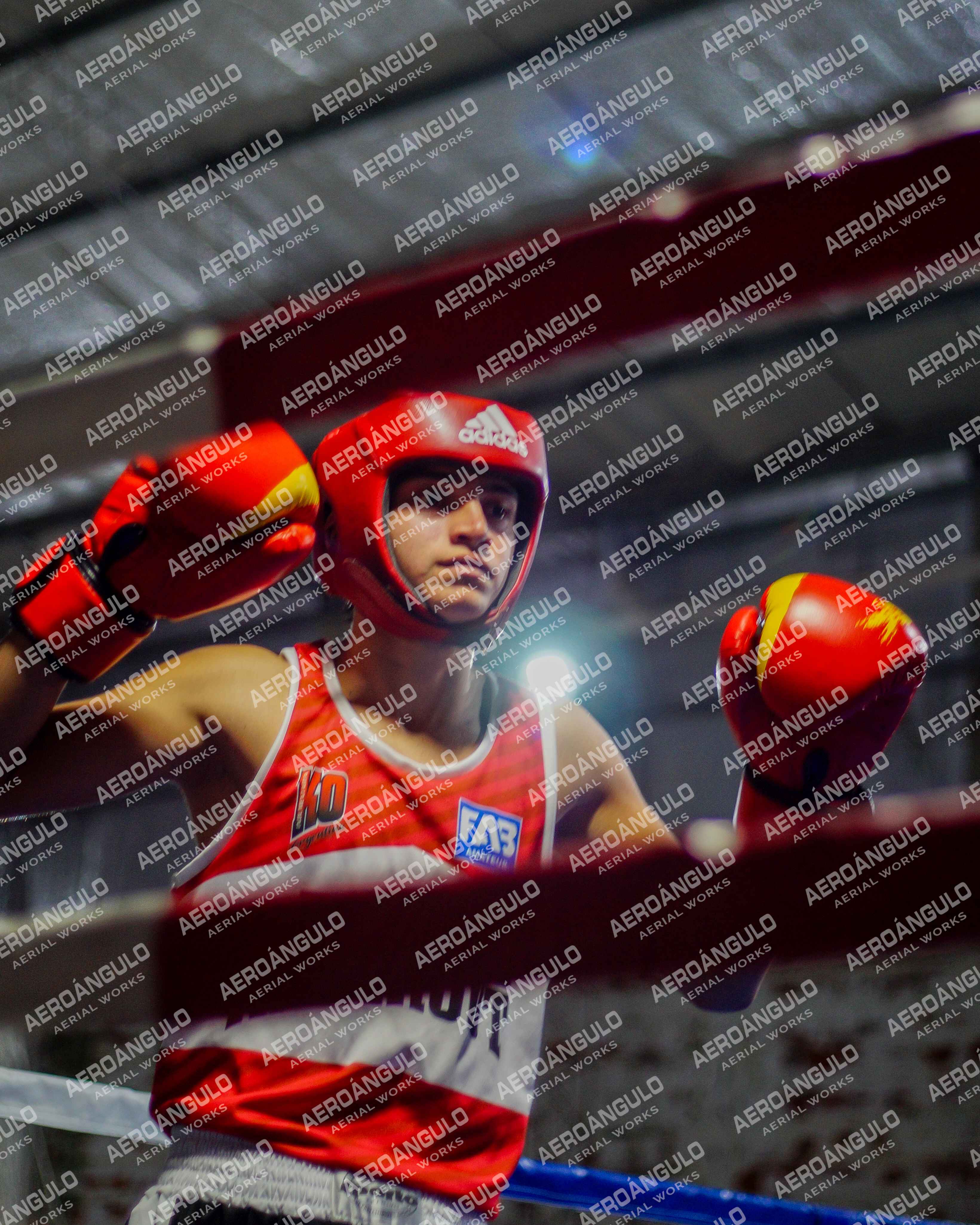 KNOCKOUT N°65