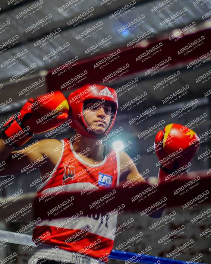 KNOCKOUT N°65