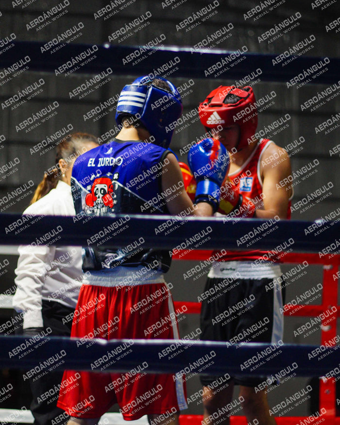 KNOCKOUT N°66